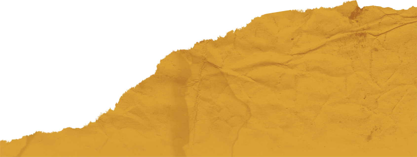 Yellow Mustard Torn Paper