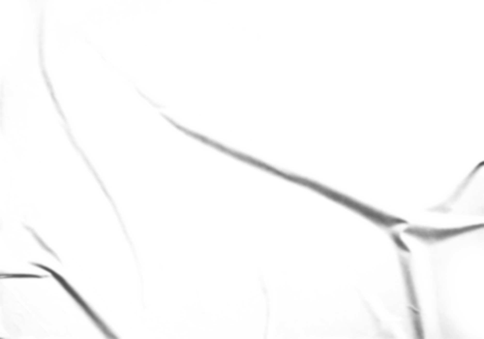 Paper wrinkled and crumped texture. Transparent glued poster template.